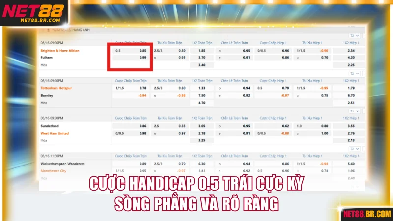 Cược handicap 0.5 trái cực kỳ sòng phẳng và rõ ràng
