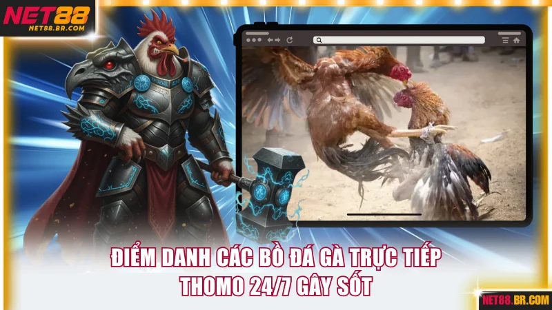 Điểm danh các bồ đá gà trực tiếp thomo 24/7 gây sốt