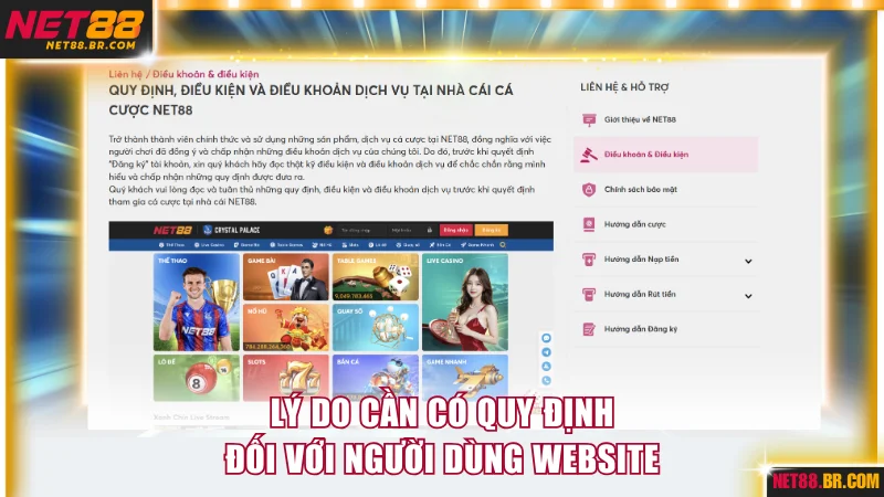 Lý do cần có quy định đối với người dùng website