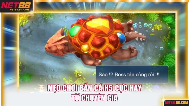 Mẹo chơi bắn cá H5 cực hay từ chuyên gia