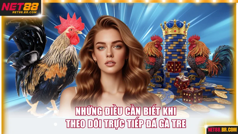 Thông tin chung về trực tiếp đá gà tre cần biết