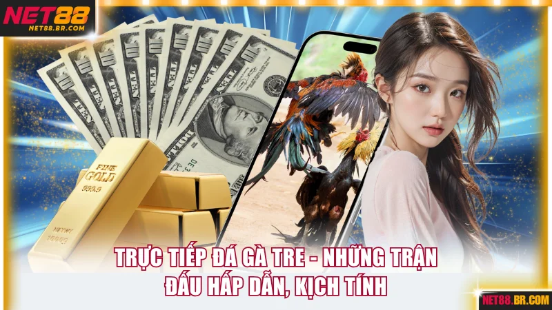 Trực tiếp đá gà tre